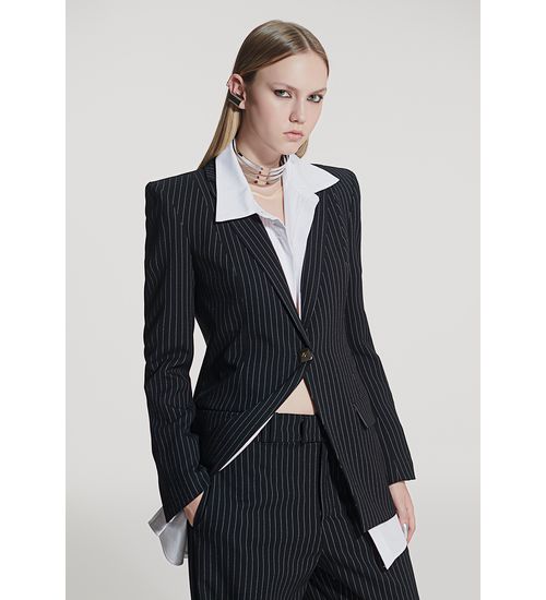 Blazer  stripe